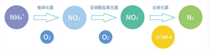 企业微信截图_20220601154802.png